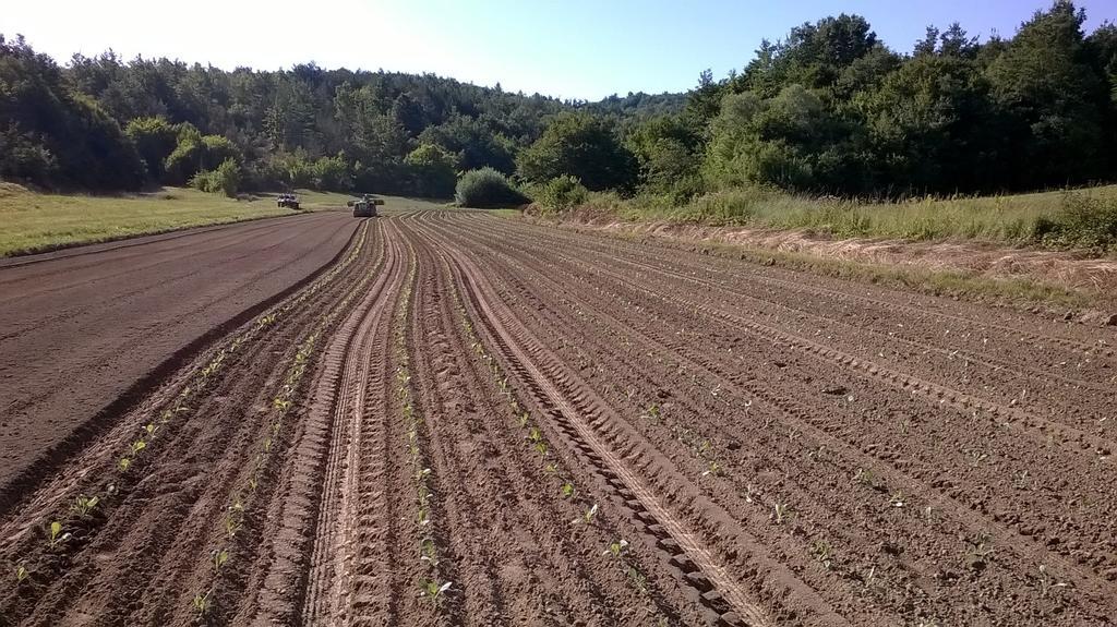 Agroturism Stara Stala Borut Exterior foto