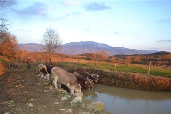Agroturism Stara Stala Borut Exterior foto